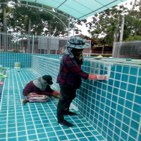 รับยาแนวสระว่ายน้ำ ระยอง